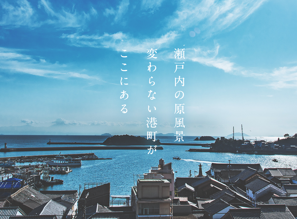 鞆の浦の自然と歴史(福山市鞆の浦歴史民俗資料館友の会 編